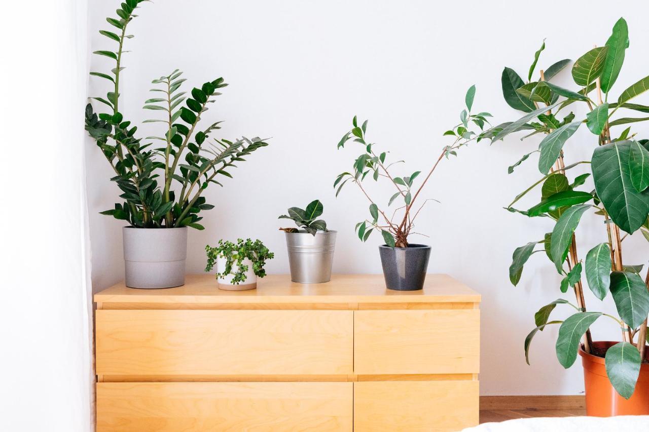 Comfortable & Spacious Lodz City Center Apartment エクステリア 写真